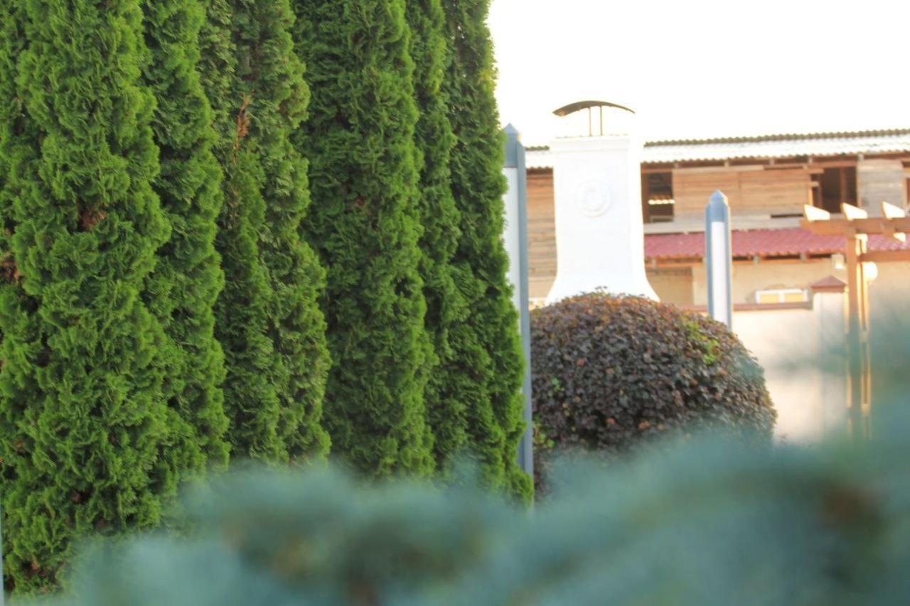 Hotel Chebak Ranch Tamchy Exterior foto